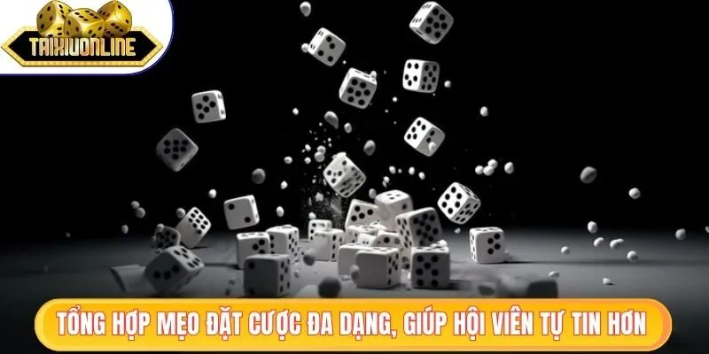 Tổng hợp mẹo đặt cược đa dạng, giúp hội viên tự tin hơn